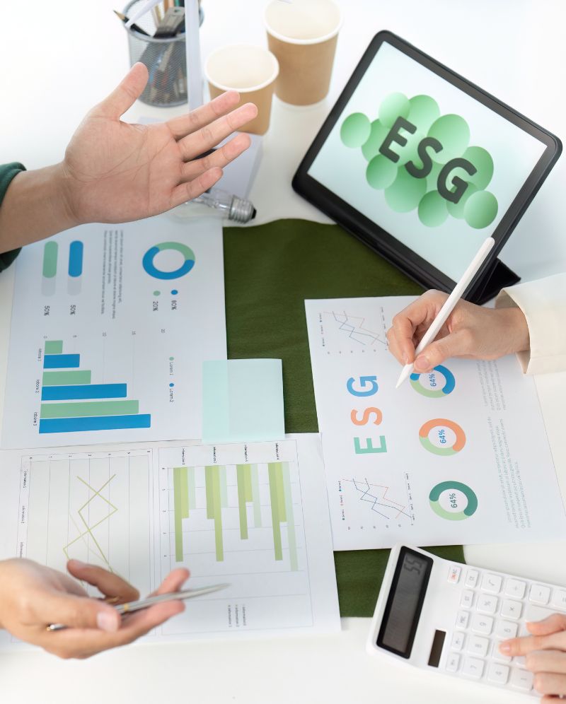 Macter servizio di Consulenza ESG